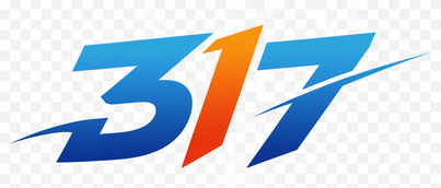 Logo 317